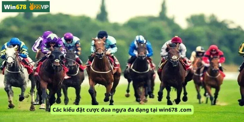 Các kiểu đặt cược đua ngựa đa dạng tại win678 .com