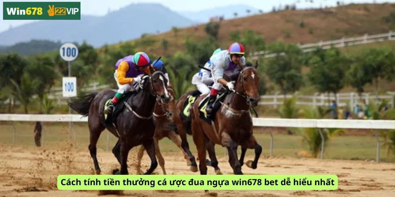 Cách tính tiền thưởng cá ược đua ngựa win678 bet dễ hiểu nhất